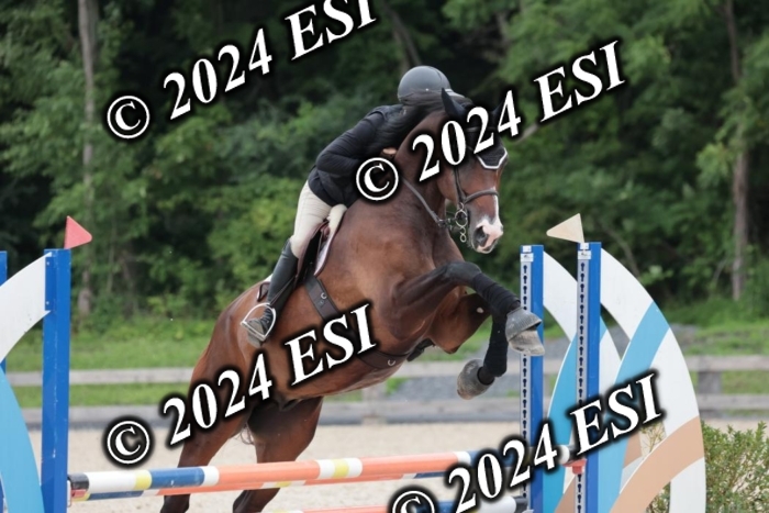 204SC1_0549