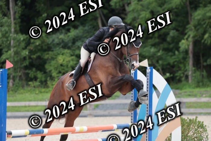 204SC1_0550