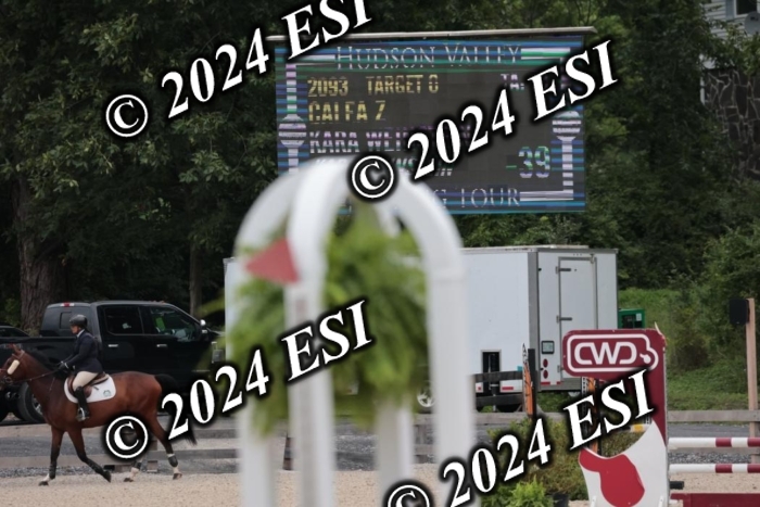 204SC1_0551
