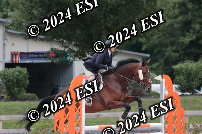 204SC1_0554