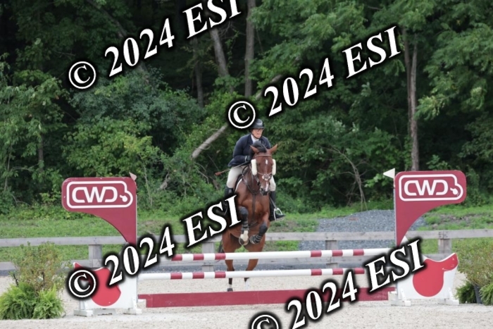 204SC1_0558