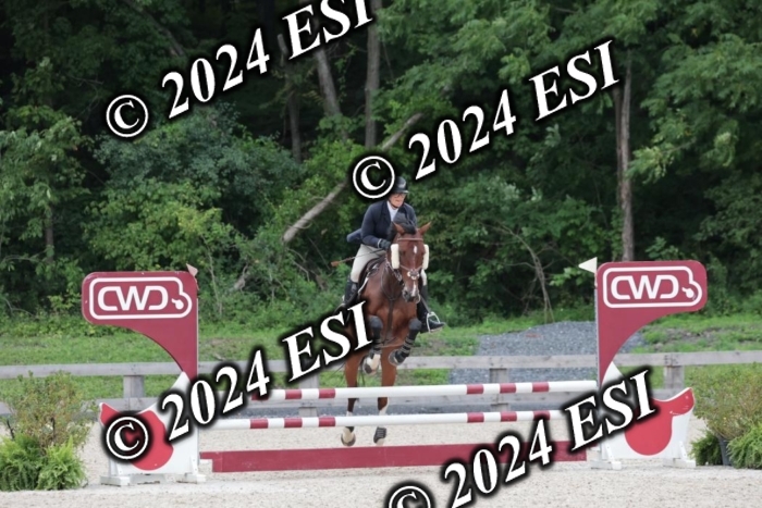 204SC1_0560