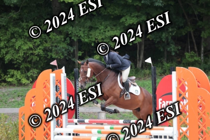204SC1_0564
