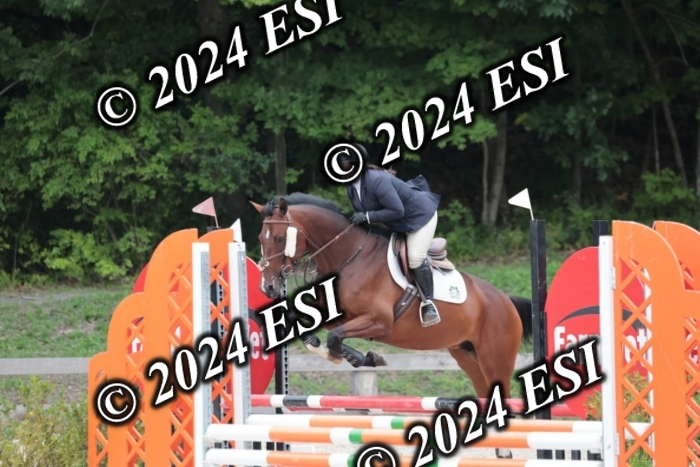 204SC1_0565