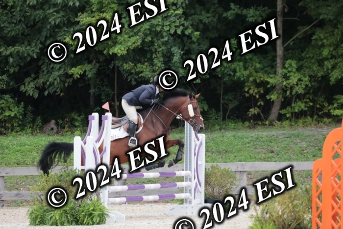 204SC1_0570