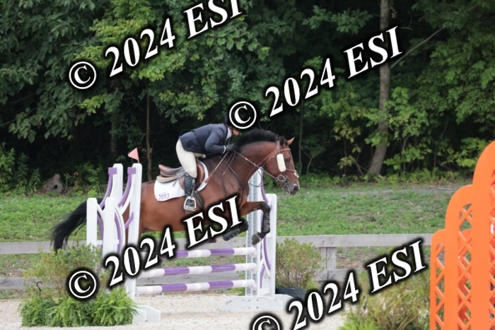204SC1_0571