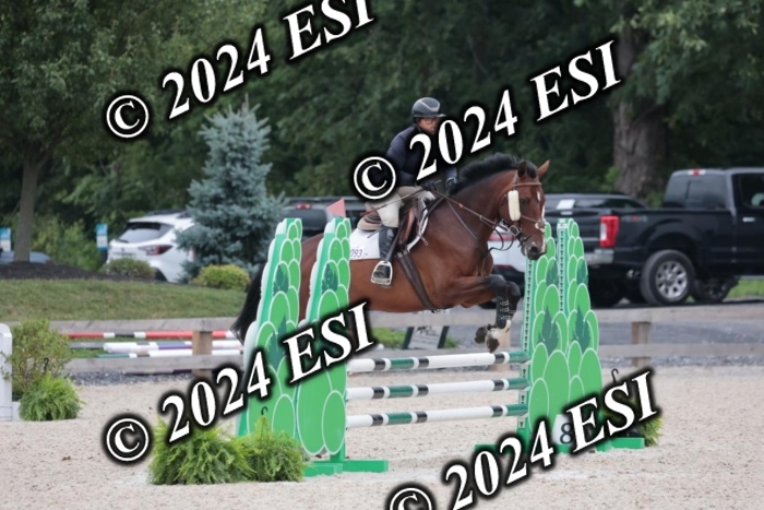 204SC1_0573