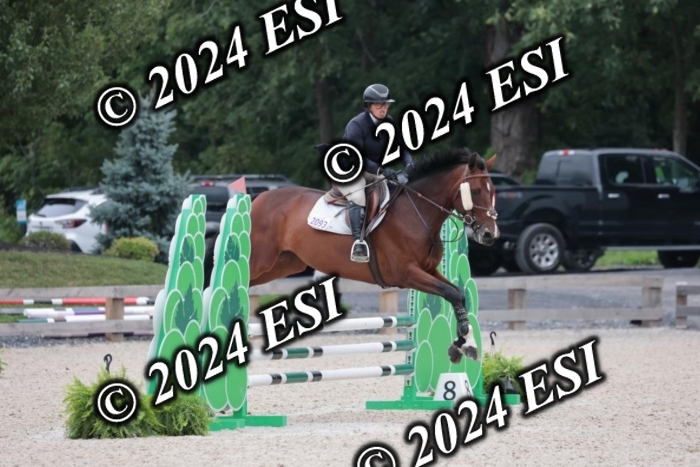 204SC1_0575