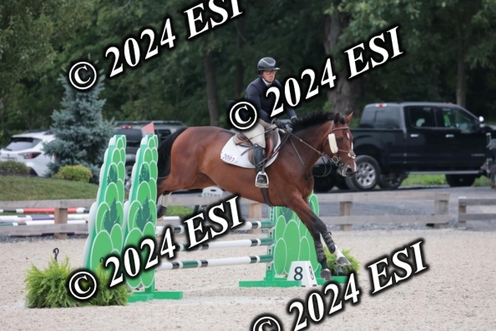 204SC1_0576