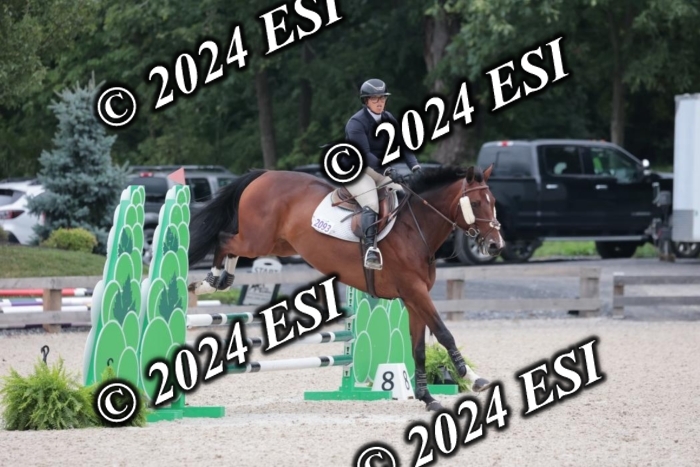 204SC1_0577
