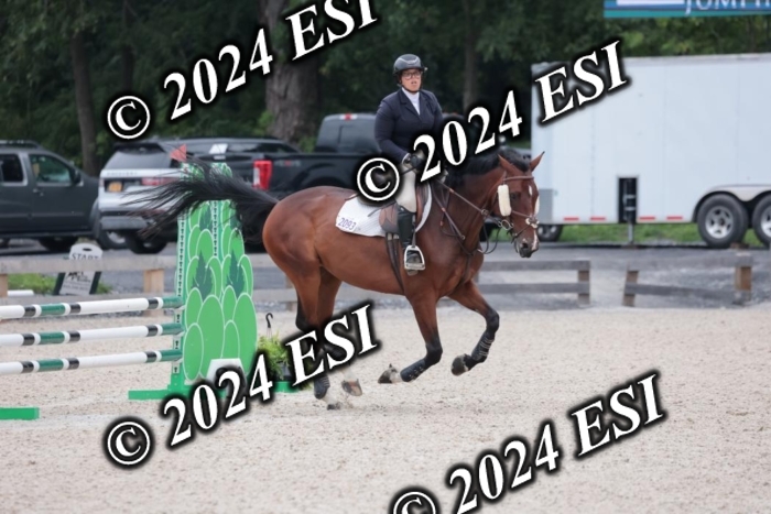 204SC1_0583