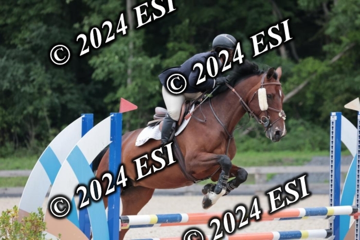 204SC1_0587