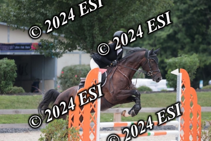 204SC1_0594