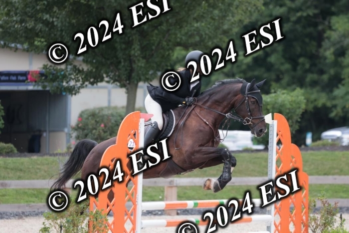 204SC1_0595