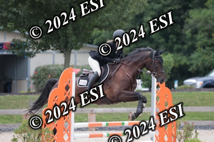 204SC1_0596