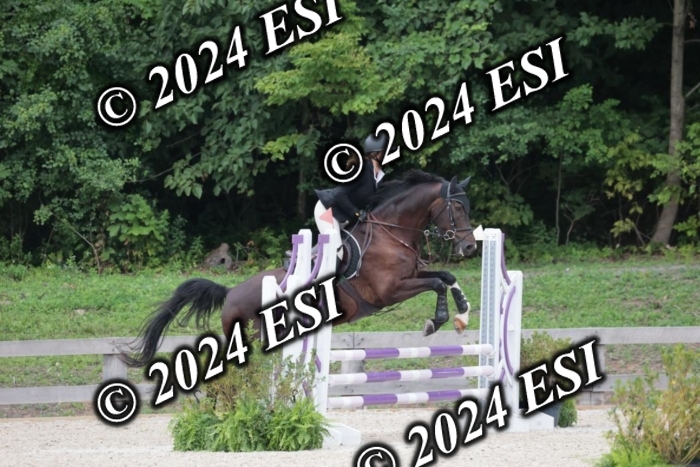 204SC1_0610