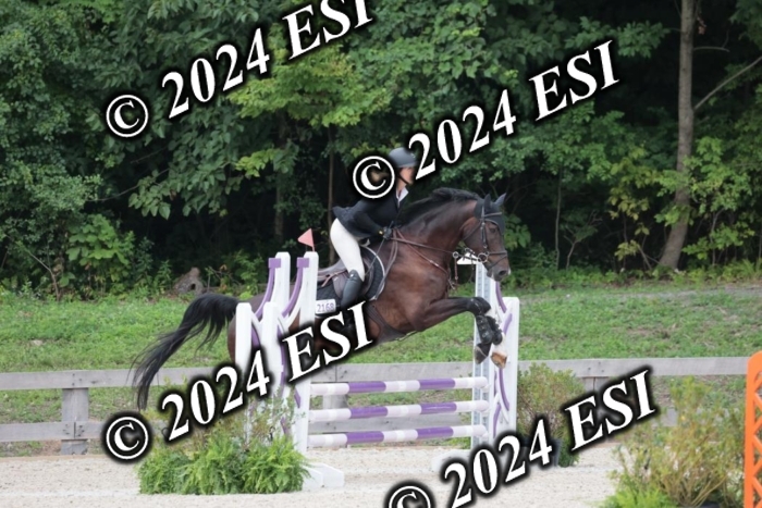204SC1_0611