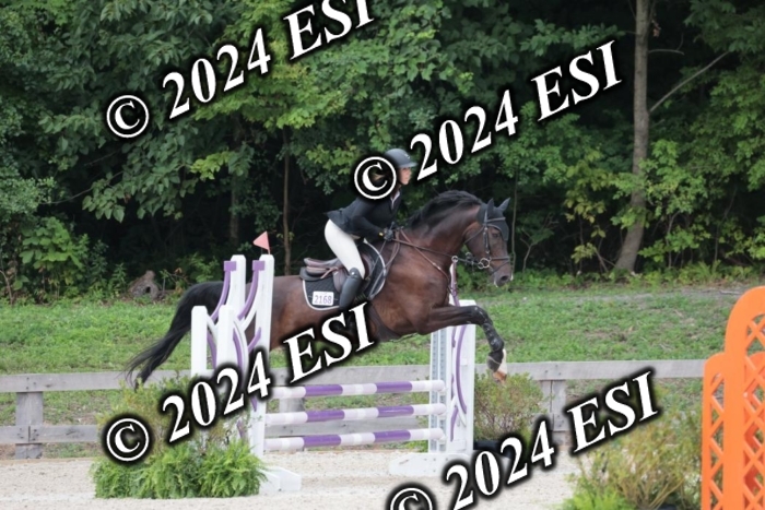 204SC1_0612