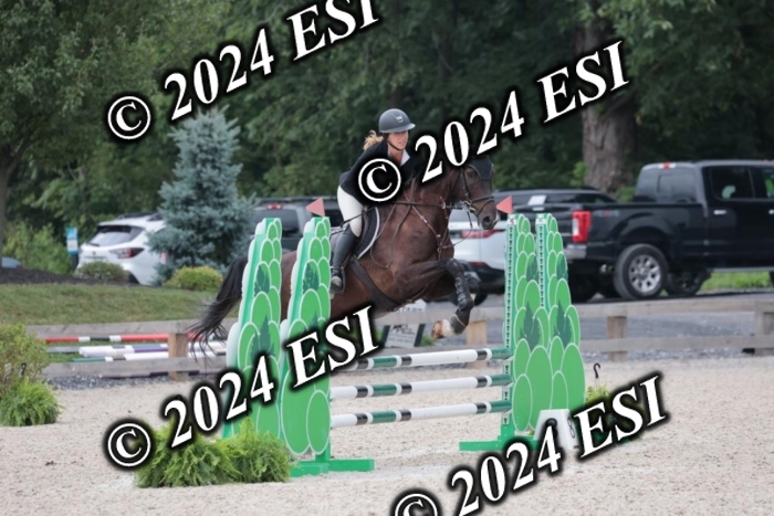 204SC1_0617