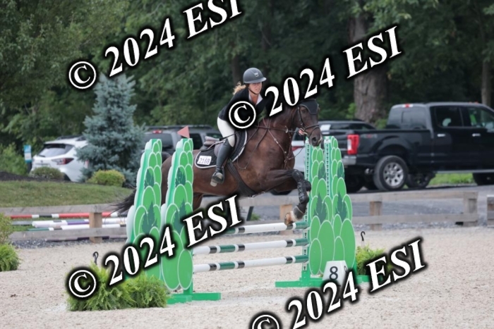 204SC1_0618