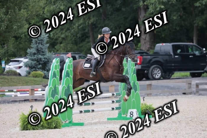 204SC1_0619