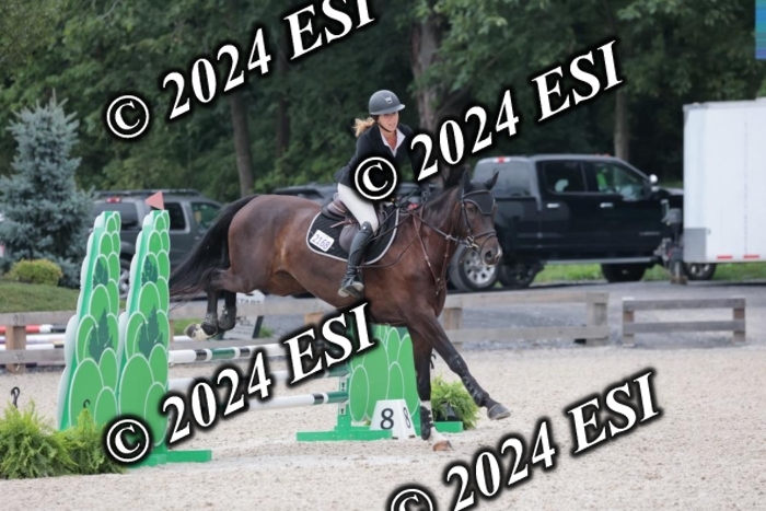 204SC1_0622