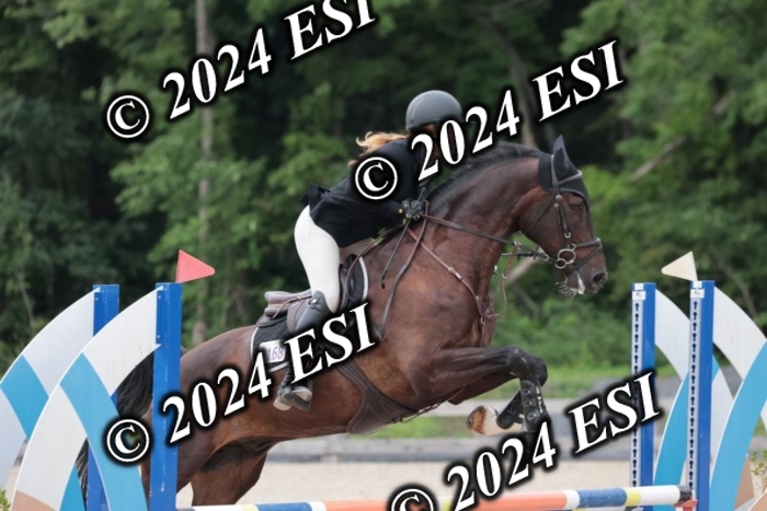 204SC1_0629