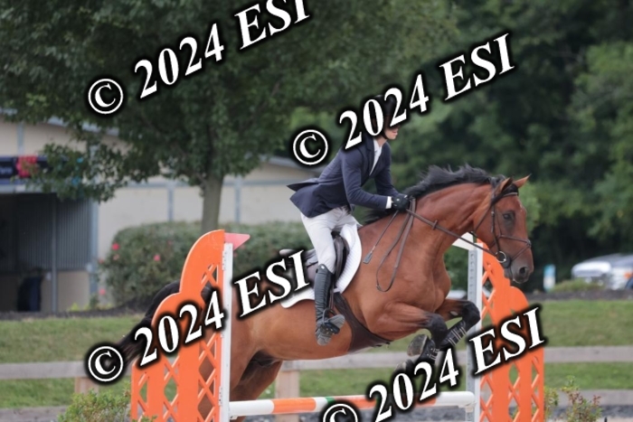 204SC1_0634