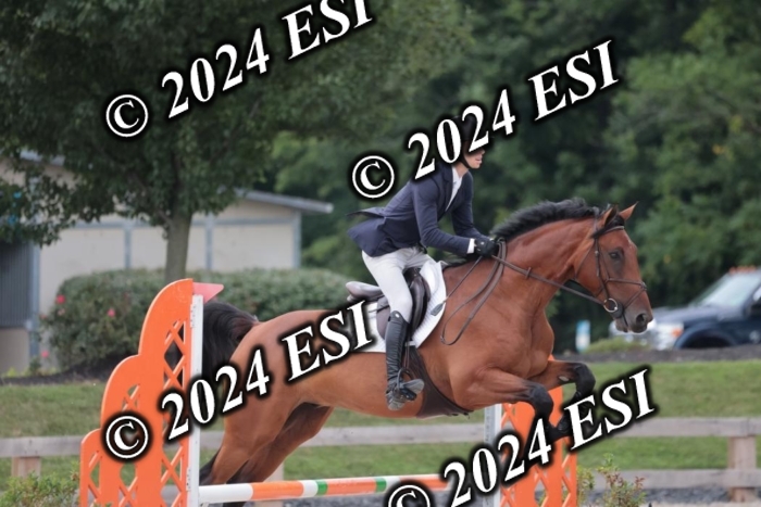204SC1_0635