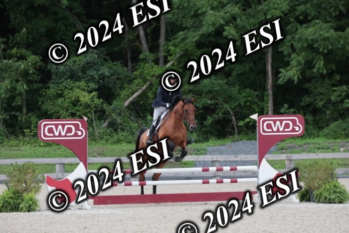 204SC1_0641