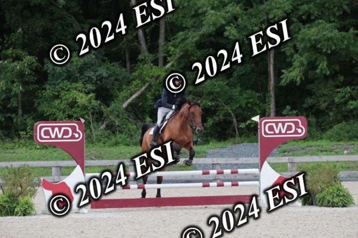 204SC1_0642