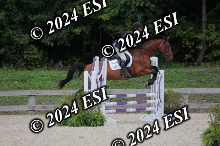 204SC1_0650