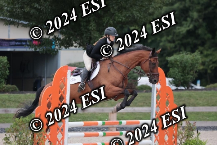 204SC1_0659