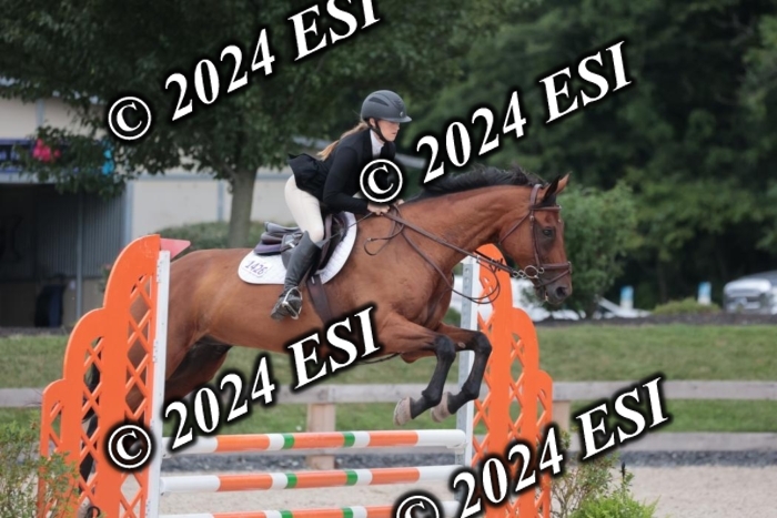 204SC1_0660
