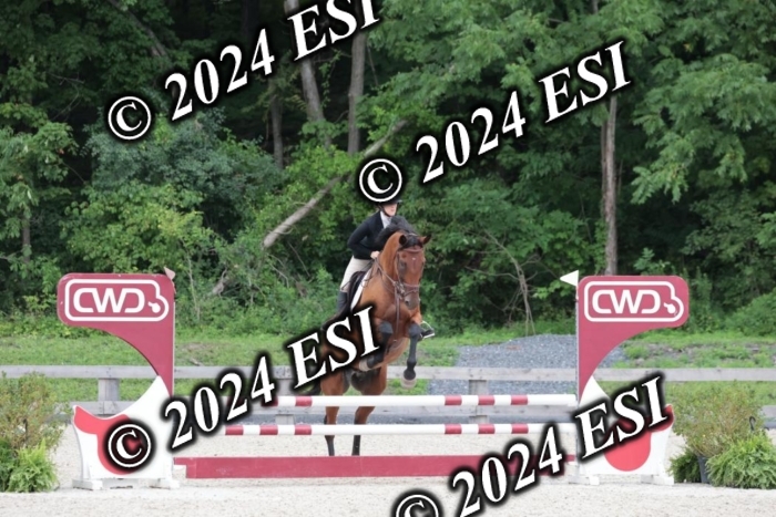 204SC1_0663
