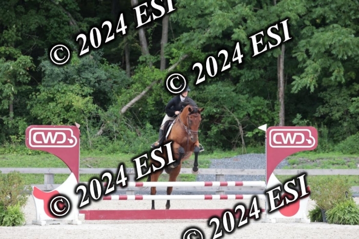 204SC1_0664