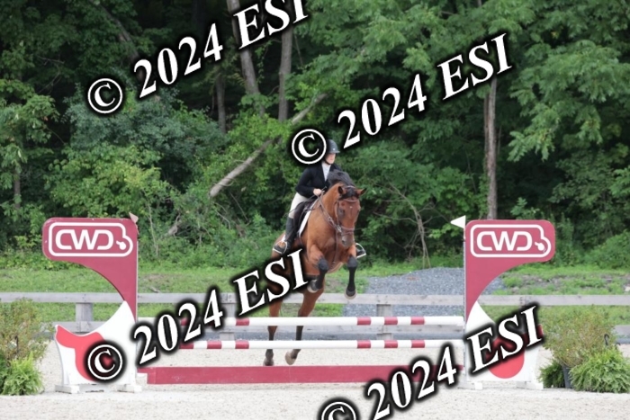 204SC1_0665