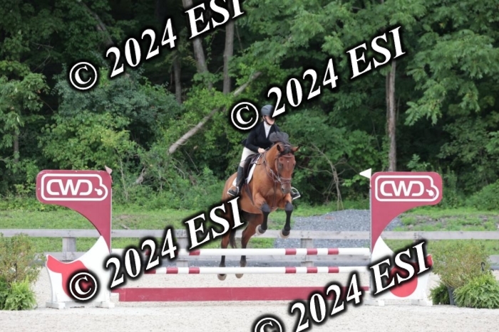 204SC1_0666