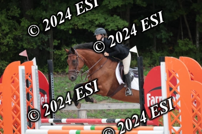 204SC1_0667