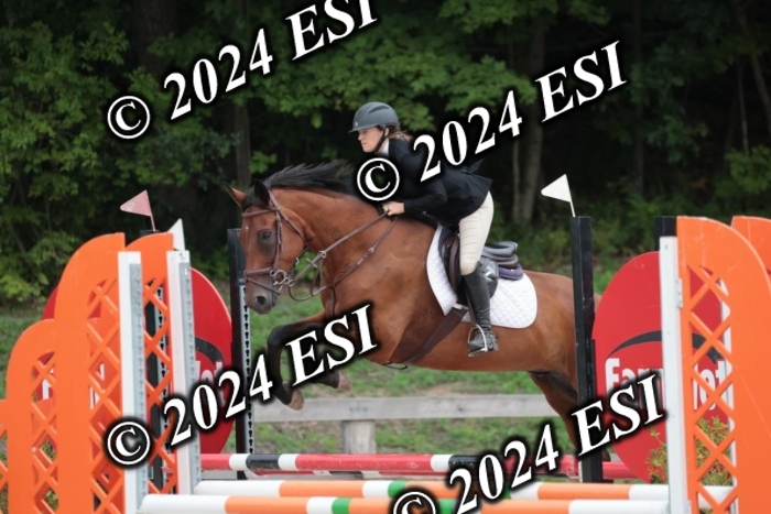 204SC1_0668
