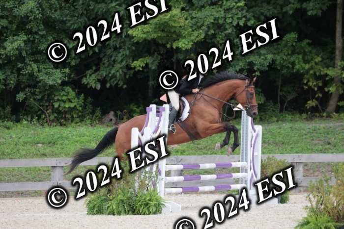 204SC1_0674