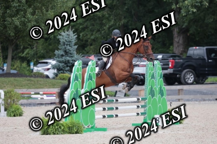 204SC1_0677