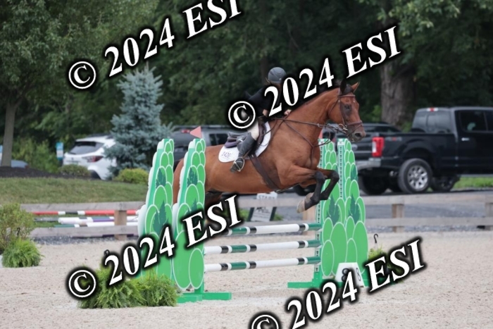 204SC1_0678