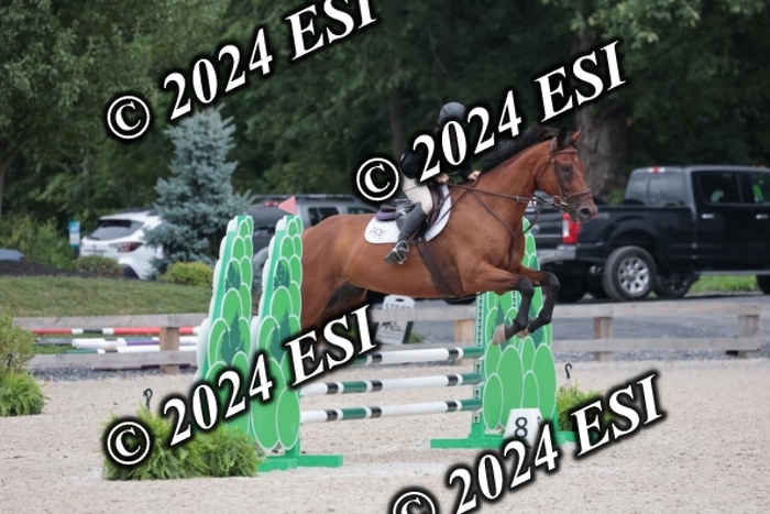 204SC1_0679