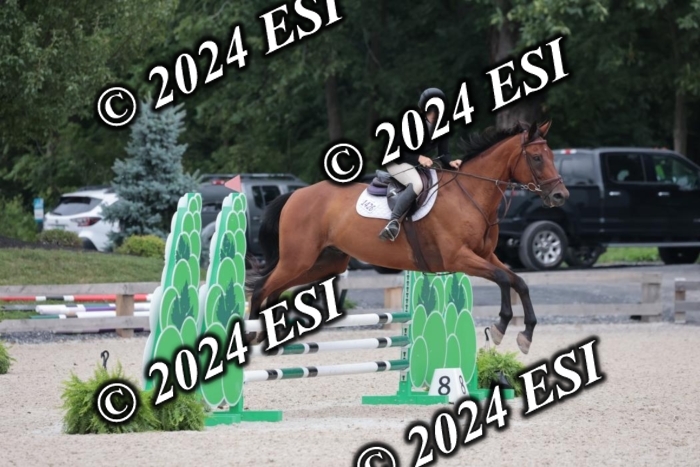 204SC1_0680
