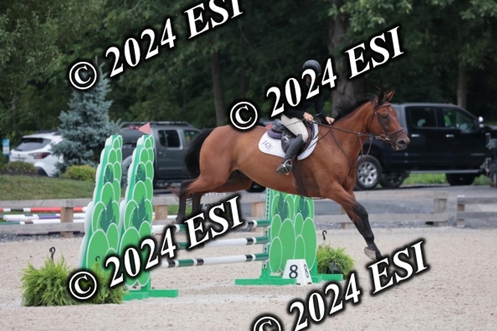 204SC1_0681