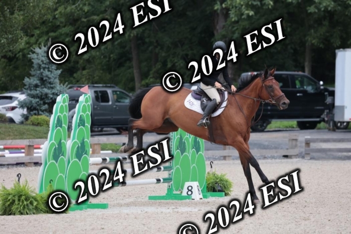 204SC1_0682