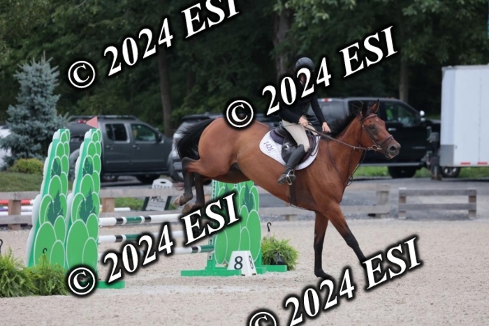 204SC1_0683