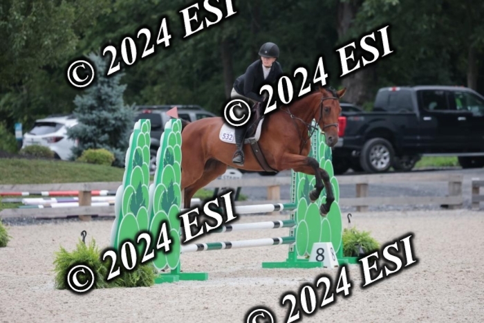 204SC1_0719