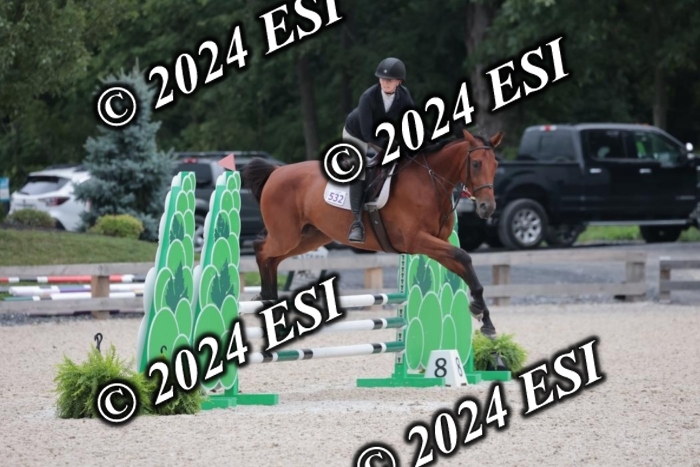 204SC1_0720